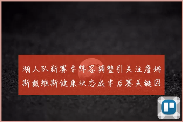 湖人队新赛季阵容调整引关注詹姆斯戴维斯健康状态成季后赛关键因素