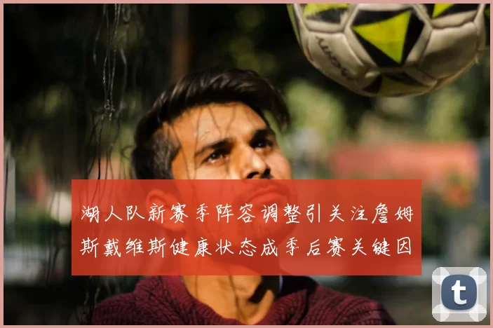 湖人队新赛季阵容调整引关注詹姆斯戴维斯健康状态成季后赛关键因素